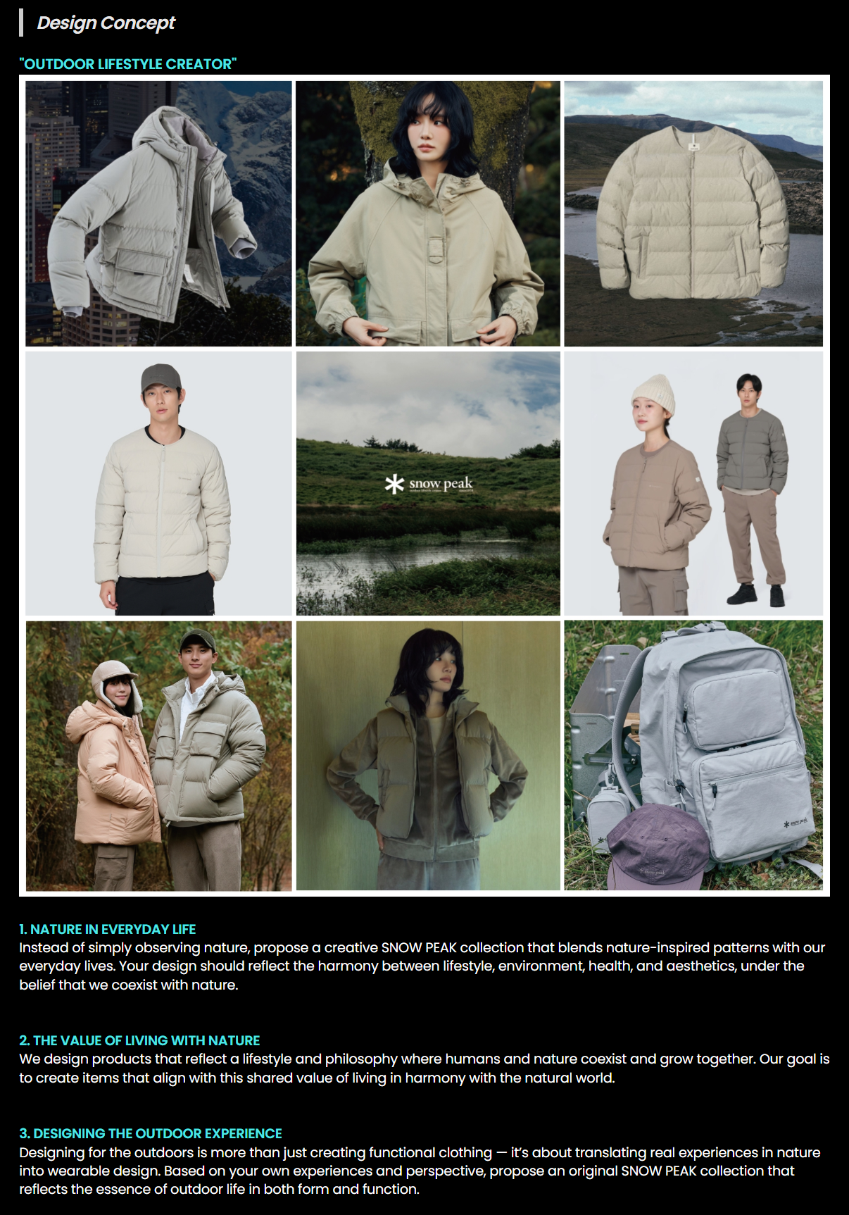 Da Hye Lim Snow Peak Submission